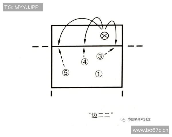 成都排球队整体压制战术解析与实战应用探讨